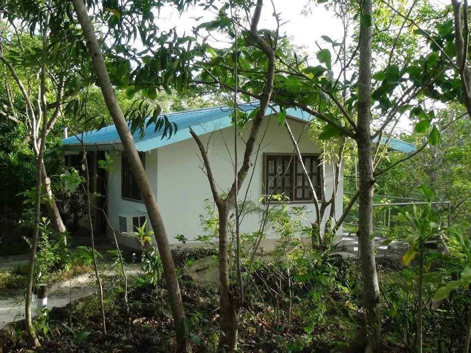Bantayan Island Nature Park And Resort Tamiao Luaran gambar